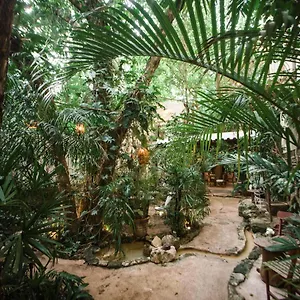 https://hotel-la-semilla.quintano-roohotels.com